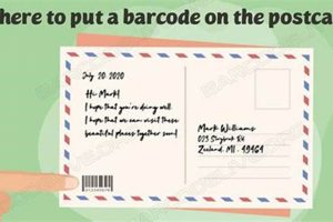 Where Do Stamps Go On A Postcard | Old Stamp Collecting Guide: Discover, Value & Preserve Vintage Stamps