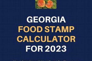 Georgia Food Stamp Guide &amp; Requirements 2024 | Old Stamp Collecting Guide: Discover, Value & Preserve Vintage Stamps
