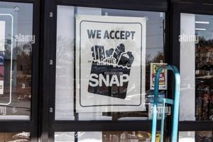 Food Stamp Office Fort Wayne Indiana | Old Stamp Collecting Guide: Discover, Value & Preserve Vintage Stamps