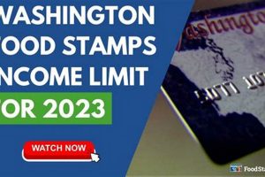 WA Food Stamp Card Guide &amp; Benefits | Old Stamp Collecting Guide: Discover, Value & Preserve Vintage Stamps