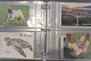 Best Postcard Binders for Collectors & Preservation Old Stamp Collecting Guide: Discover, Value & Preserve Vintage Stamps Best Postcard Binders for Collectors & Preservation | Old Stamp Collecting Guide: Discover, Value & Preserve Vintage Stamps