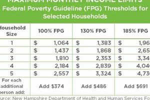 Understanding the Food Stamp Minimum Benefit | Old Stamp Collecting Guide: Discover, Value & Preserve Vintage Stamps