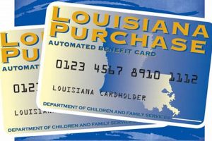 Snap Food Stamp Application Louisiana | Old Stamp Collecting Guide: Discover, Value & Preserve Vintage Stamps