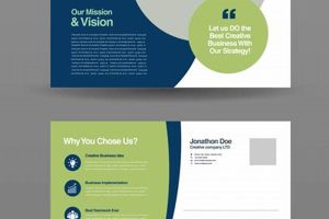 Custom Postcard Printing Business Solutions | Old Stamp Collecting Guide: Discover, Value & Preserve Vintage Stamps