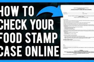 Check AL Food Stamp Balance by Phone Old Stamp Collecting Guide: Discover, Value & Preserve Vintage Stamps Check AL Food Stamp Balance by Phone | Old Stamp Collecting Guide: Discover, Value & Preserve Vintage Stamps