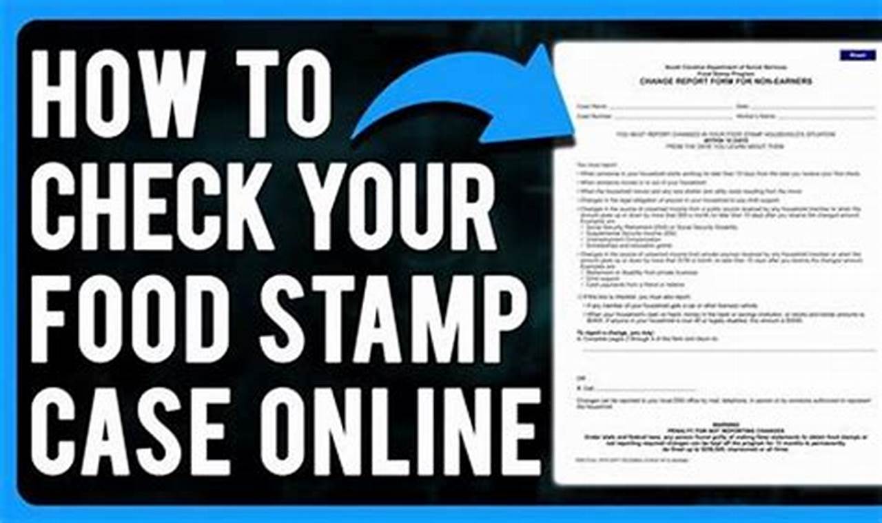 A person checking their food stamp balance on the phone