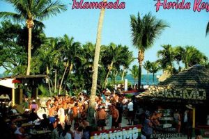 Postcard Islamorada | Old Stamp Collecting Guide: Discover, Value & Preserve Vintage Stamps