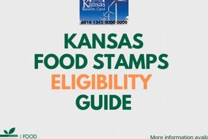 Kansas Food Stamp Guide &amp; Eligibility 2024 | Old Stamp Collecting Guide: Discover, Value & Preserve Vintage Stamps