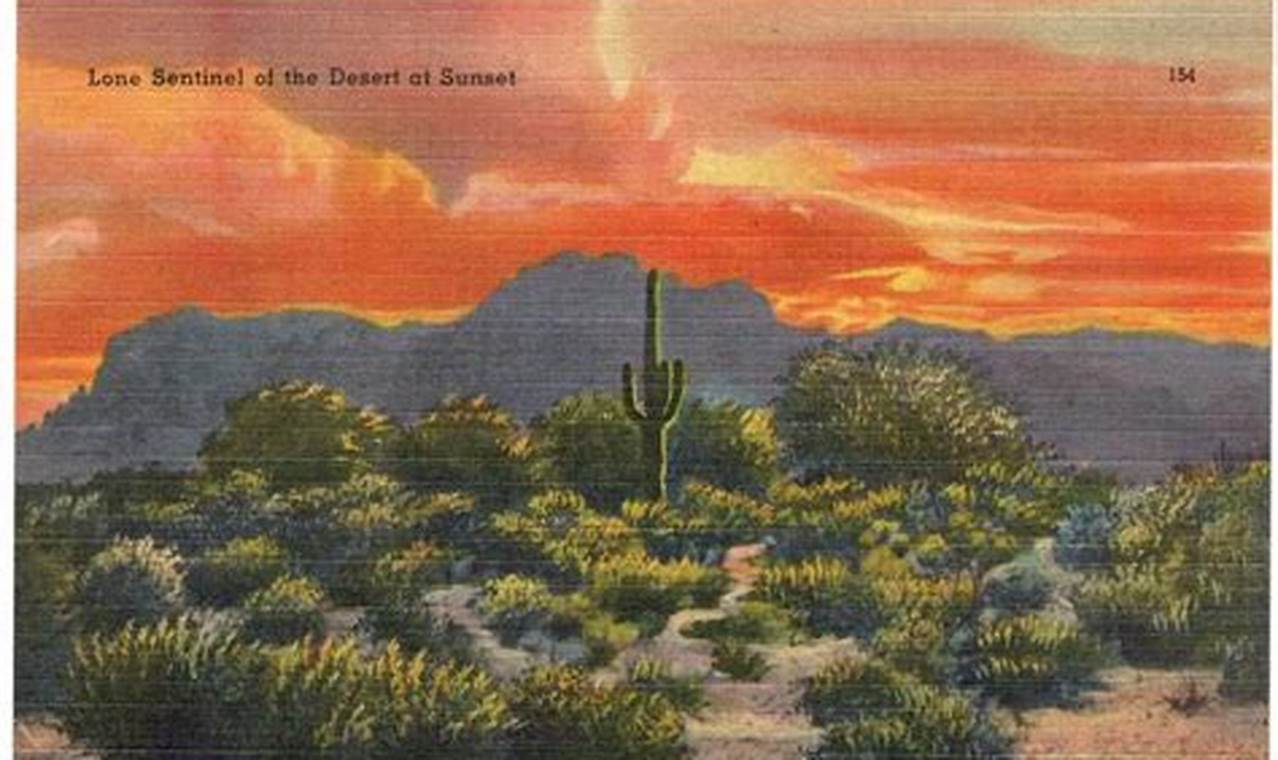 Vintage Flat Desert Postcards: Collect History Old Stamp Collecting Guide: Discover, Value & Preserve Vintage Stamps Vintage Flat Desert Postcards: Collect History | Old Stamp Collecting Guide: Discover, Value & Preserve Vintage Stamps