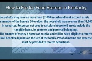 Paducah Food Stamp Office Old Stamp Collecting Guide: Discover, Value & Preserve Vintage Stamps Paducah Food Stamp Office | Old Stamp Collecting Guide: Discover, Value & Preserve Vintage Stamps