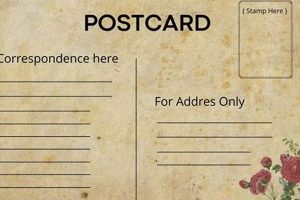 Postcard From Old Stamp Collecting Guide: Discover, Value & Preserve Vintage Stamps Postcard From | Old Stamp Collecting Guide: Discover, Value & Preserve Vintage Stamps