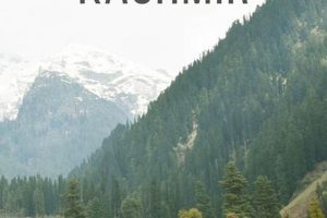 Explore Kashmir: A Postcard's Perspective Old Stamp Collecting Guide: Discover, Value & Preserve Vintage Stamps Explore Kashmir: A Postcard's Perspective | Old Stamp Collecting Guide: Discover, Value & Preserve Vintage Stamps