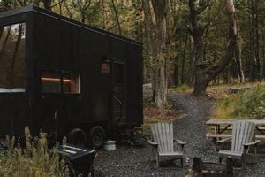 Cozy Postcard Cabins in Homochitto Meadville, MS Old Stamp Collecting Guide: Discover, Value & Preserve Vintage Stamps Cozy Postcard Cabins in Homochitto Meadville, MS | Old Stamp Collecting Guide: Discover, Value & Preserve Vintage Stamps