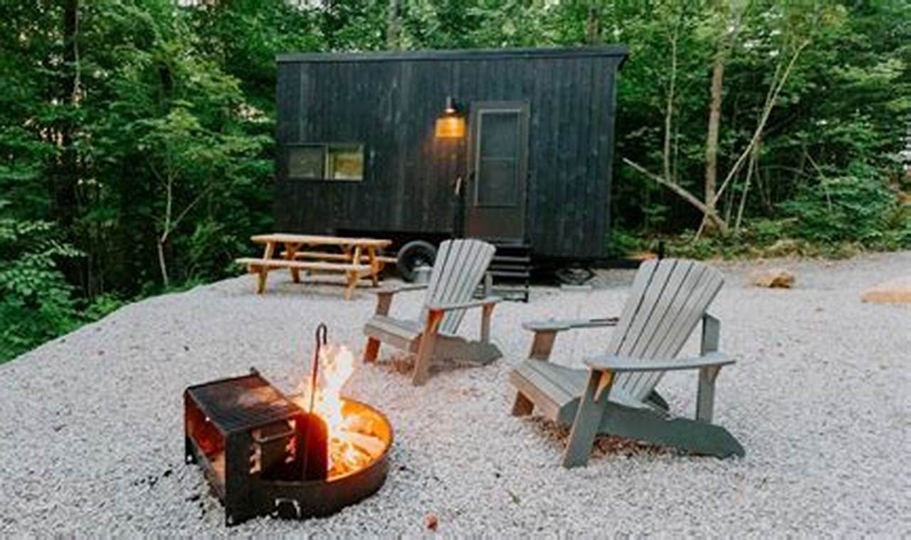 Postcard Cabins Brazos Valley | Old Stamp Collecting Guide: Discover, Value & Preserve Vintage Stamps