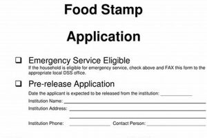 Apply for Food Stamps Online in Buffalo, NY Old Stamp Collecting Guide: Discover, Value & Preserve Vintage Stamps Apply for Food Stamps Online in Buffalo, NY | Old Stamp Collecting Guide: Discover, Value & Preserve Vintage Stamps