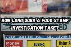 SNAP Investigation: How Long Does It Take? | Old Stamp Collecting Guide: Discover, Value & Preserve Vintage Stamps