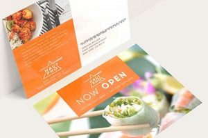 Easy Online Postcard Printing & Mailing Services | Old Stamp Collecting Guide: Discover, Value & Preserve Vintage Stamps