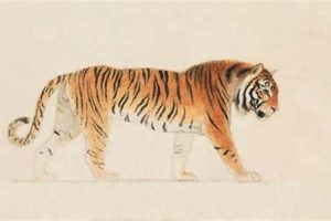 Vintage Punjab Tiger Postcards: A Collector's Guide Old Stamp Collecting Guide: Discover, Value & Preserve Vintage Stamps Vintage Punjab Tiger Postcards: A Collector's Guide | Old Stamp Collecting Guide: Discover, Value & Preserve Vintage Stamps