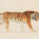 Vintage Punjab Tiger Postcards: A Collector's Guide | Old Stamp Collecting Guide: Discover, Value & Preserve Vintage Stamps