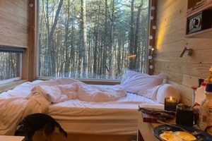 Postcard Cabins New York | Old Stamp Collecting Guide: Discover, Value & Preserve Vintage Stamps