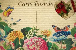Beautiful Postcard Flowers: Designs & Ideas | Old Stamp Collecting Guide: Discover, Value & Preserve Vintage Stamps