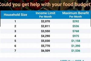 Nebraska Food Stamp Guidelines & Eligibility Old Stamp Collecting Guide: Discover, Value & Preserve Vintage Stamps Nebraska Food Stamp Guidelines & Eligibility | Old Stamp Collecting Guide: Discover, Value & Preserve Vintage Stamps