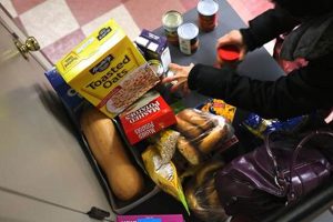 Food Stamp Office Hammond Indiana Old Stamp Collecting Guide: Discover, Value & Preserve Vintage Stamps Food Stamp Office Hammond Indiana | Old Stamp Collecting Guide: Discover, Value & Preserve Vintage Stamps