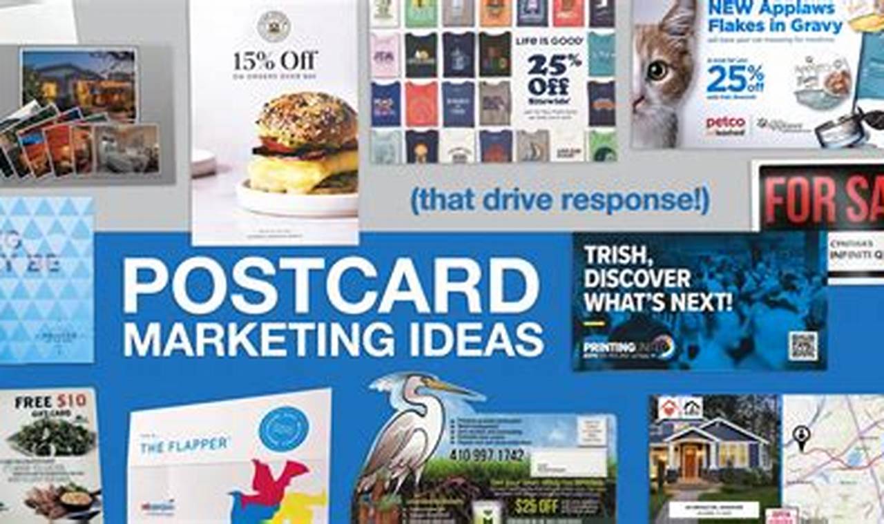 Effective Postcard Mailings Strategies & Tips | Old Stamp Collecting Guide: Discover, Value & Preserve Vintage Stamps