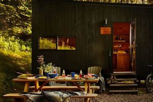 Postcard Cabins Mount Adams | Old Stamp Collecting Guide: Discover, Value & Preserve Vintage Stamps