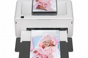 Custom Printer Postcard Designs & Printing Old Stamp Collecting Guide: Discover, Value & Preserve Vintage Stamps Custom Printer Postcard Designs & Printing | Old Stamp Collecting Guide: Discover, Value & Preserve Vintage Stamps