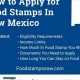 NM Food Stamp Guide &amp; Application | Old Stamp Collecting Guide: Discover, Value & Preserve Vintage Stamps