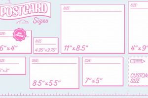 Standard Postcard Dimensions in Inches: A Guide | Old Stamp Collecting Guide: Discover, Value & Preserve Vintage Stamps