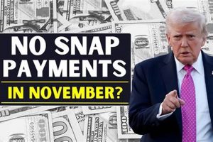 Your November Food Stamp Payment Guide | Old Stamp Collecting Guide: Discover, Value & Preserve Vintage Stamps