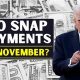 Your November Food Stamp Payment Guide | Old Stamp Collecting Guide: Discover, Value & Preserve Vintage Stamps