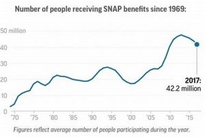 Food Stamp Drug Testing Old Stamp Collecting Guide: Discover, Value & Preserve Vintage Stamps Food Stamp Drug Testing | Old Stamp Collecting Guide: Discover, Value & Preserve Vintage Stamps