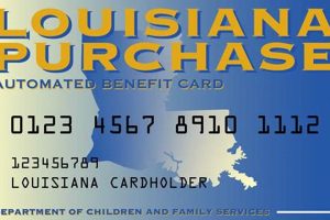 Check Your Louisiana Food Stamp Card Balance Now | Old Stamp Collecting Guide: Discover, Value & Preserve Vintage Stamps