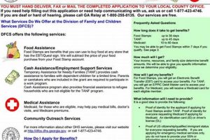 Gateway Food Stamp Application | Old Stamp Collecting Guide: Discover, Value & Preserve Vintage Stamps