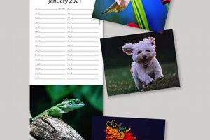 Beautiful Postcard Calendars for 2024 Old Stamp Collecting Guide: Discover, Value & Preserve Vintage Stamps Beautiful Postcard Calendars for 2024 | Old Stamp Collecting Guide: Discover, Value & Preserve Vintage Stamps