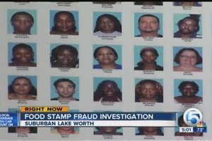NC Food Stamp Fraud: Penalties & Consequences Old Stamp Collecting Guide: Discover, Value & Preserve Vintage Stamps NC Food Stamp Fraud: Penalties & Consequences | Old Stamp Collecting Guide: Discover, Value & Preserve Vintage Stamps