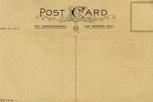Back Of Vintage Postcard | Old Stamp Collecting Guide: Discover, Value & Preserve Vintage Stamps