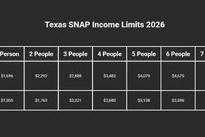 Food Stamp Income Limit In Texas Old Stamp Collecting Guide: Discover, Value & Preserve Vintage Stamps Food Stamp Income Limit In Texas | Old Stamp Collecting Guide: Discover, Value & Preserve Vintage Stamps