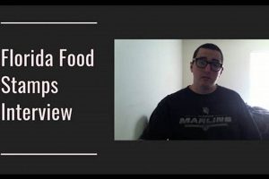 Florida Food Stamp Interview: Your Guide | Old Stamp Collecting Guide: Discover, Value & Preserve Vintage Stamps