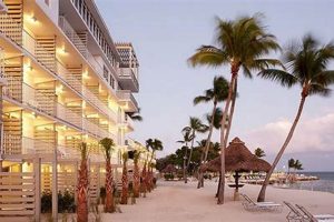 Discover Postcard Inn Keys: Retro Beach Getaway | Old Stamp Collecting Guide: Discover, Value & Preserve Vintage Stamps