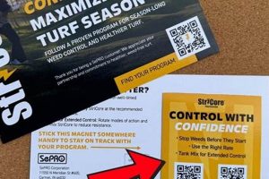 Custom Magnet Postcards: Design & Print | Old Stamp Collecting Guide: Discover, Value & Preserve Vintage Stamps