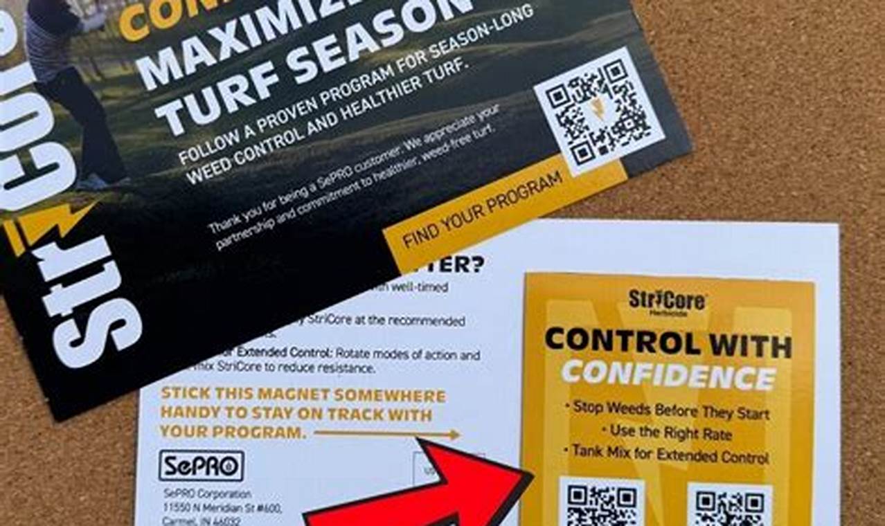 Custom Magnet Postcards: Design & Print | Old Stamp Collecting Guide: Discover, Value & Preserve Vintage Stamps