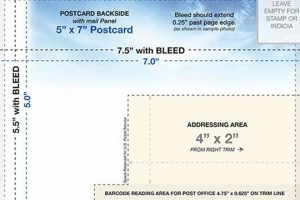 Postage For 5x7 Postcard | Old Stamp Collecting Guide: Discover, Value & Preserve Vintage Stamps