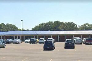 Find Hattiesburg MS Food Stamp Office Locations | Old Stamp Collecting Guide: Discover, Value & Preserve Vintage Stamps