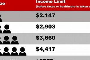 North Carolina Food Stamp Income Guidelines | Old Stamp Collecting Guide: Discover, Value & Preserve Vintage Stamps