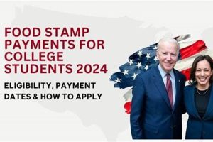 SNAP Payments: September 2024 Updates & Guide | Old Stamp Collecting Guide: Discover, Value & Preserve Vintage Stamps