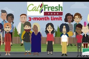 Contra Costa County Food Stamp Program Guide &amp; FAQs | Old Stamp Collecting Guide: Discover, Value & Preserve Vintage Stamps